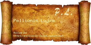 Pellionis Lujza névjegykártya